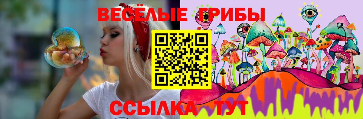 Галлюциногенные грибы ЛСД  Псилоцибиновые грибы Magic Shrooms  Вход с VPN  Тында 